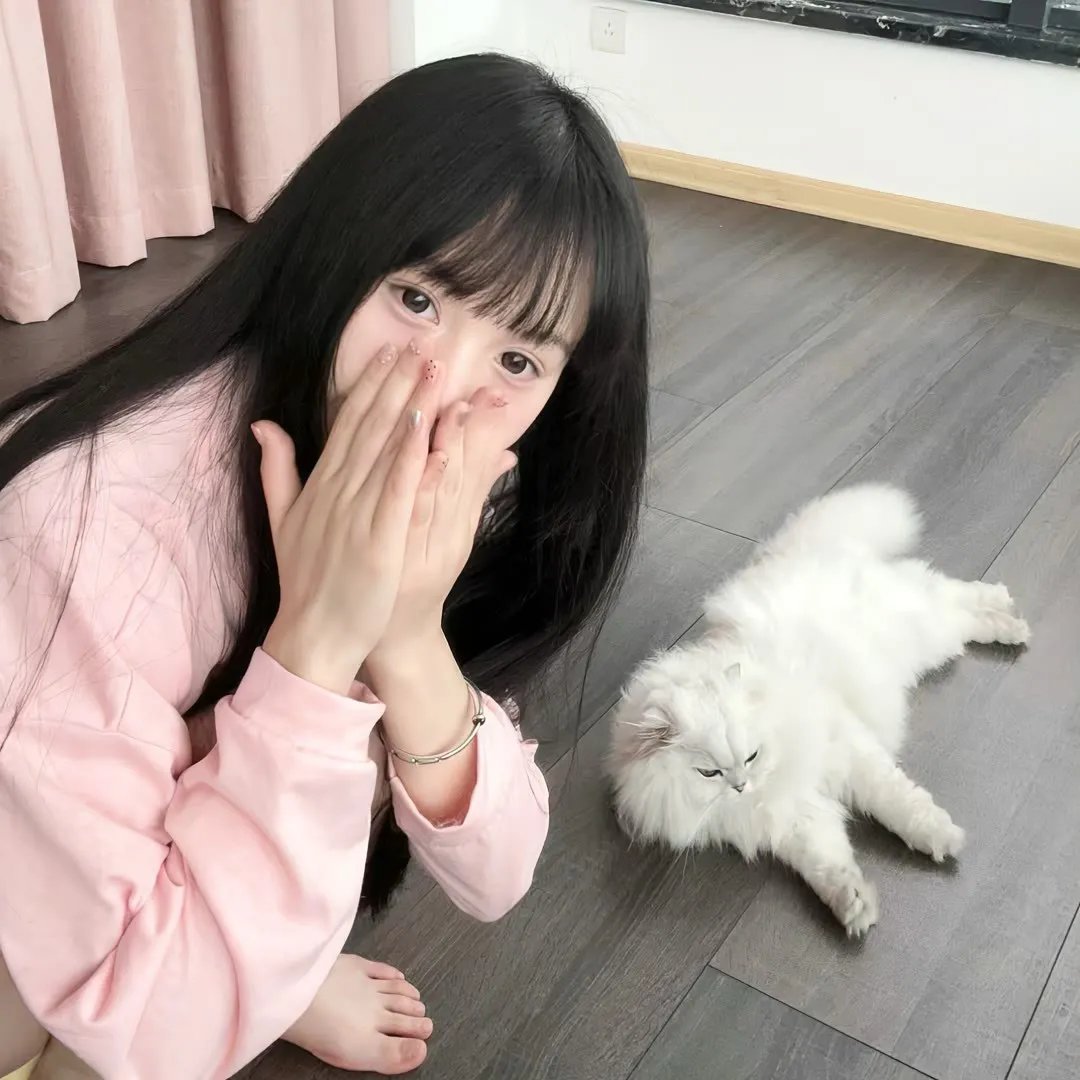 倩狐之妖乱青华